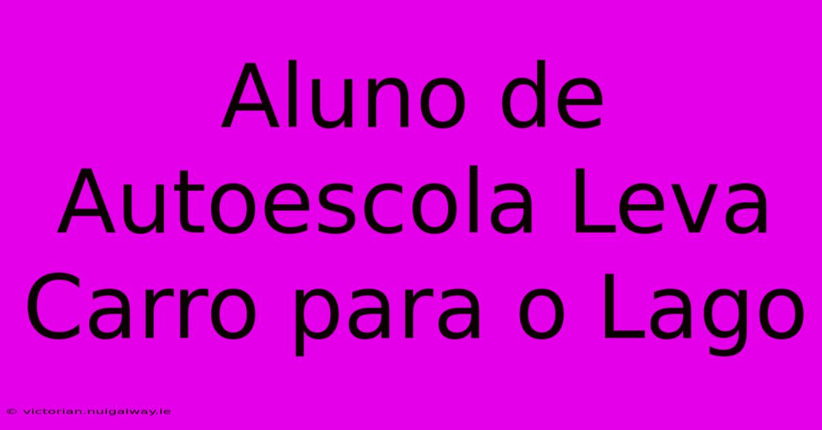 Aluno De Autoescola Leva Carro Para O Lago