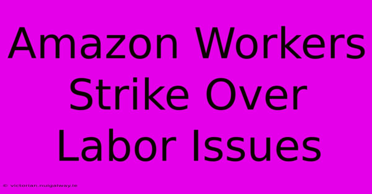 Amazon Workers Strike Over Labor Issues