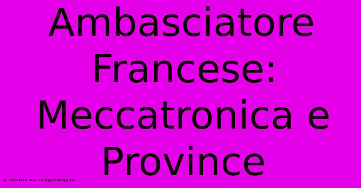 Ambasciatore Francese: Meccatronica E Province