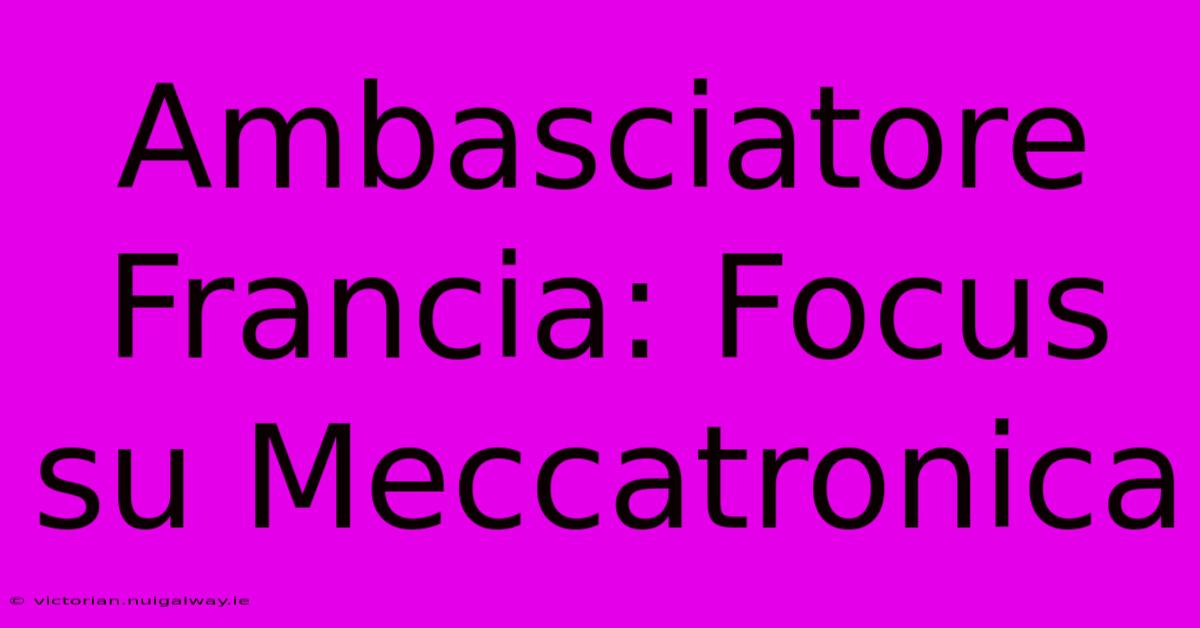 Ambasciatore Francia: Focus Su Meccatronica 