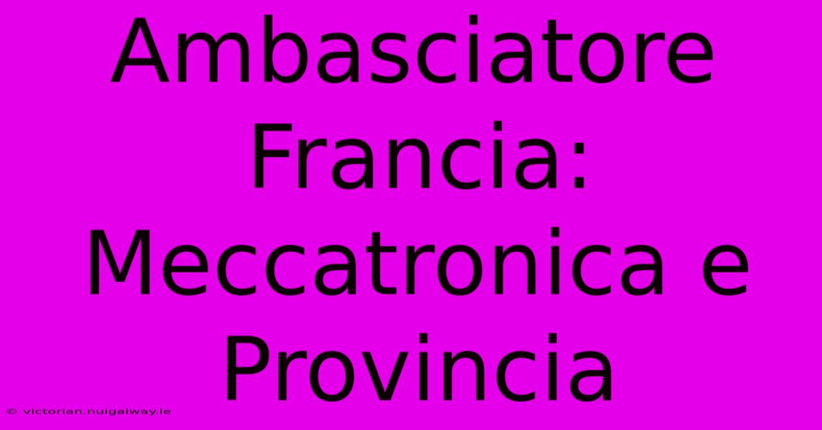 Ambasciatore Francia: Meccatronica E Provincia