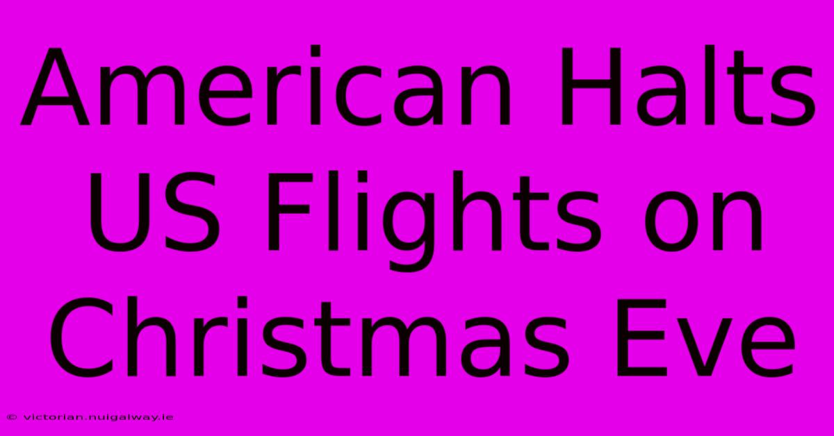 American Halts US Flights On Christmas Eve