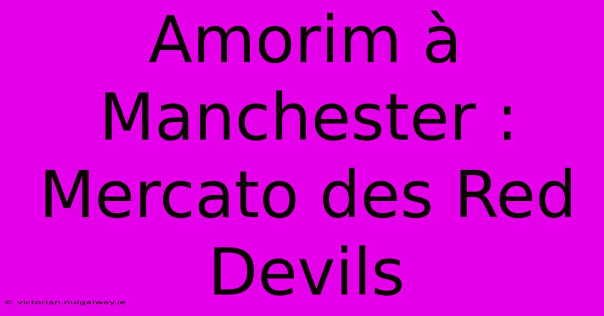 Amorim À Manchester : Mercato Des Red Devils