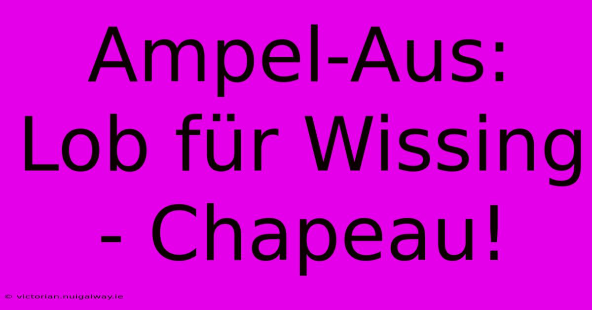 Ampel-Aus: Lob Für Wissing - Chapeau!