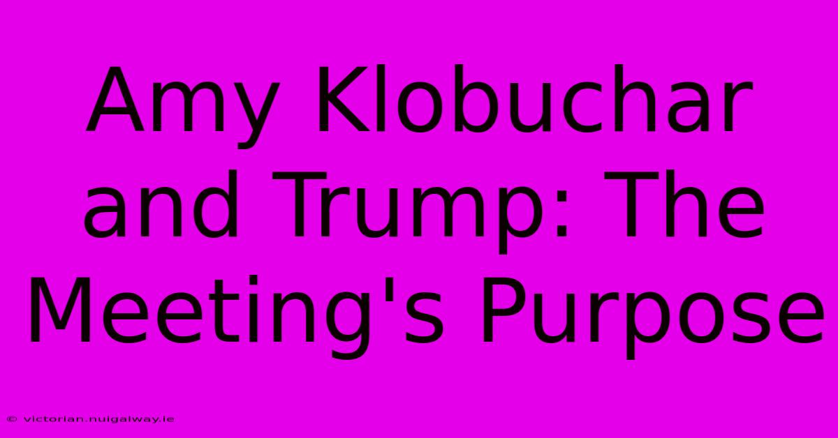 Amy Klobuchar And Trump: The Meeting's Purpose