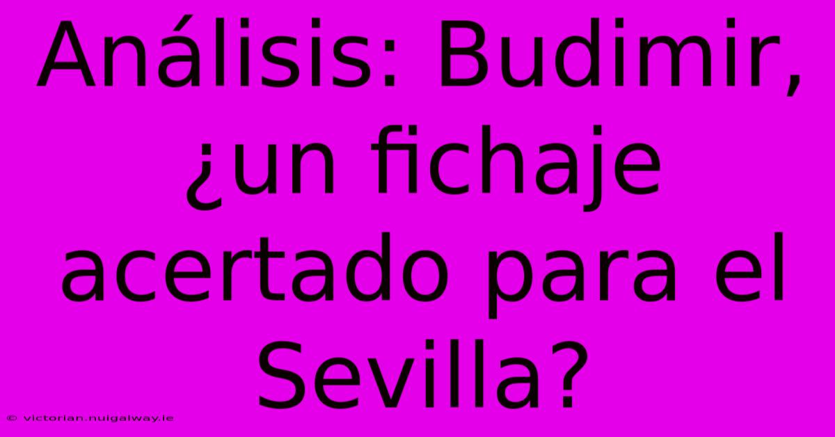 Análisis: Budimir, ¿un Fichaje Acertado Para El Sevilla?