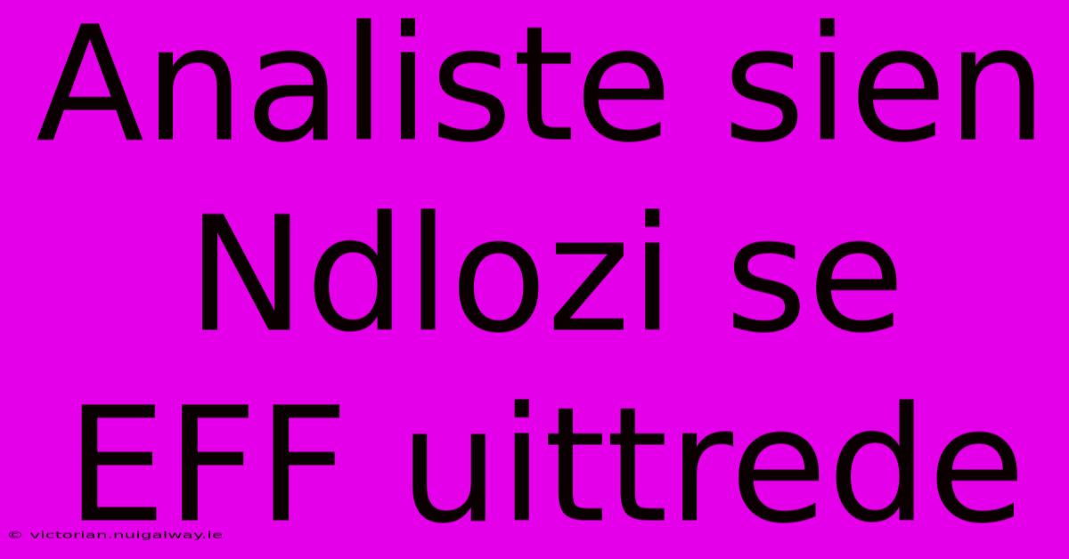 Analiste Sien Ndlozi Se EFF Uittrede