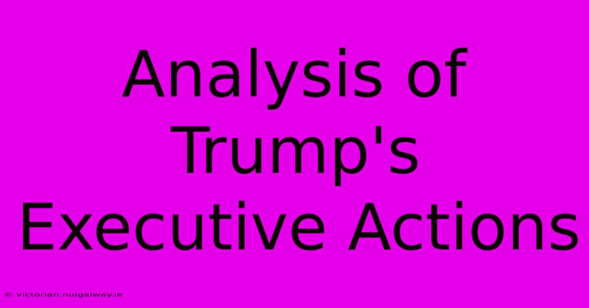 Analysis Of Trump's Executive Actions