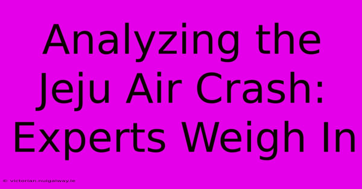 Analyzing The Jeju Air Crash: Experts Weigh In