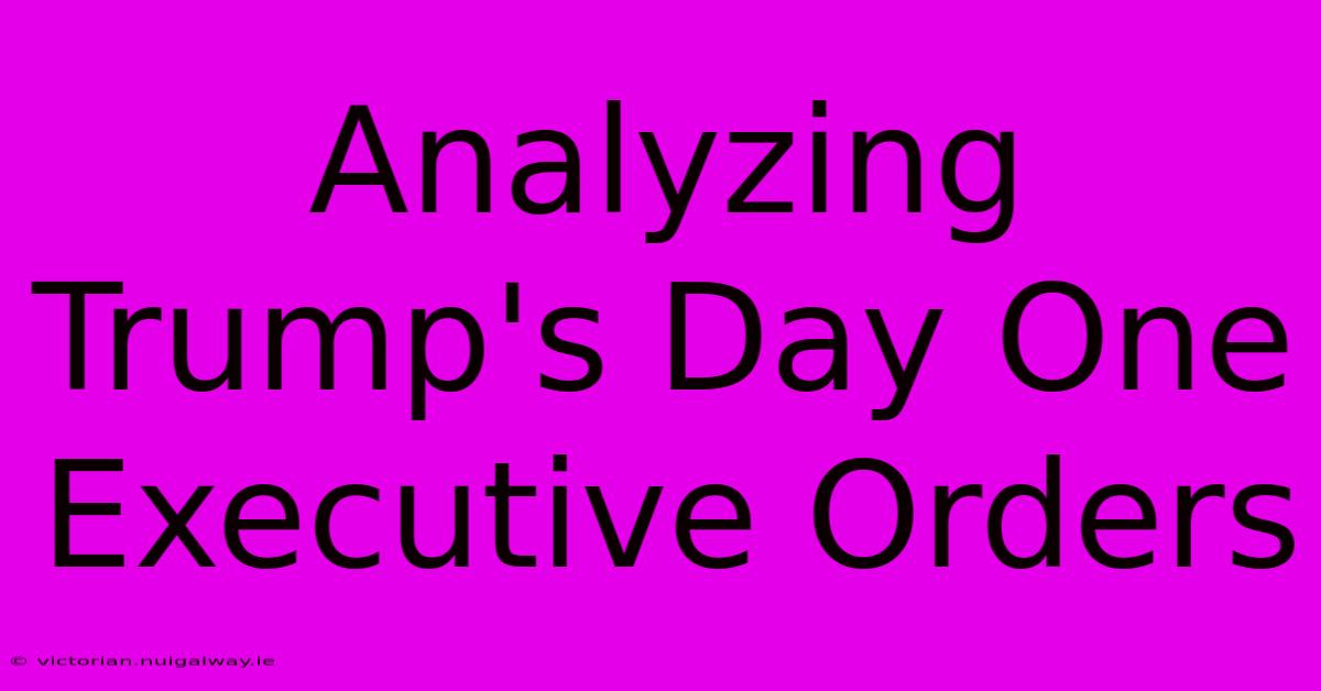 Analyzing Trump's Day One Executive Orders