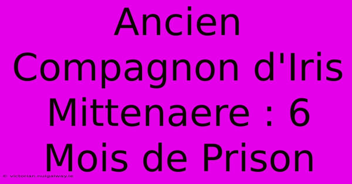 Ancien Compagnon D'Iris Mittenaere : 6 Mois De Prison