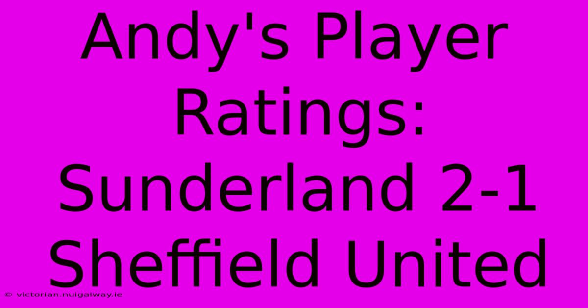 Andy's Player Ratings: Sunderland 2-1 Sheffield United