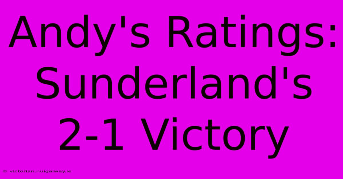 Andy's Ratings: Sunderland's 2-1 Victory