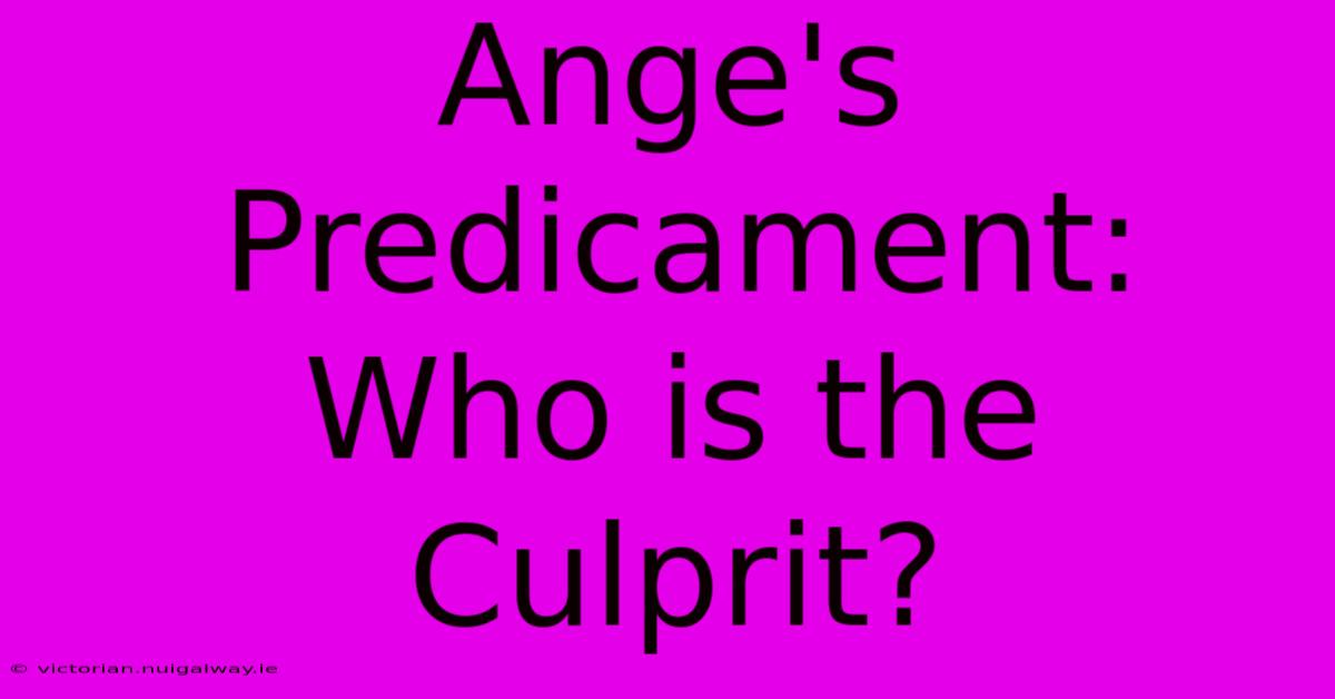 Ange's Predicament:  Who Is The Culprit?