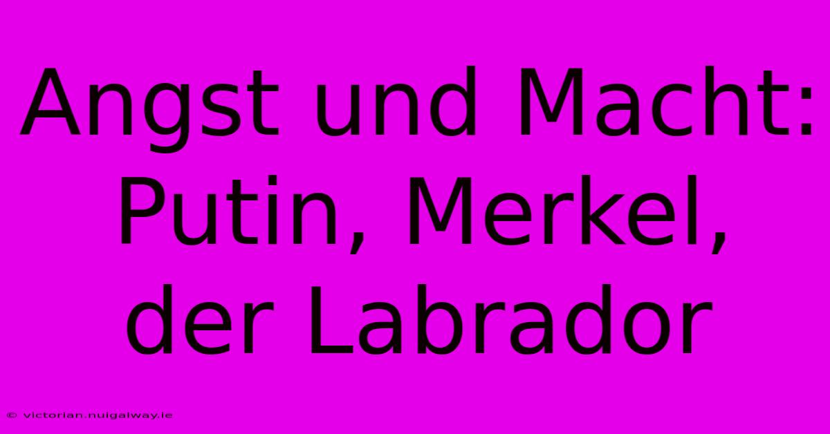 Angst Und Macht: Putin, Merkel, Der Labrador