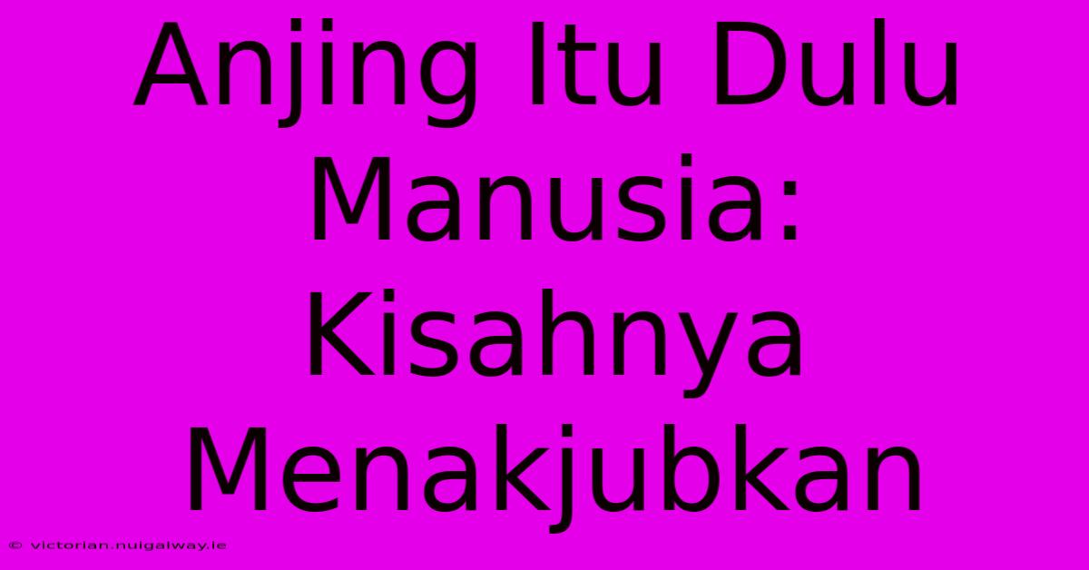 Anjing Itu Dulu Manusia: Kisahnya Menakjubkan 