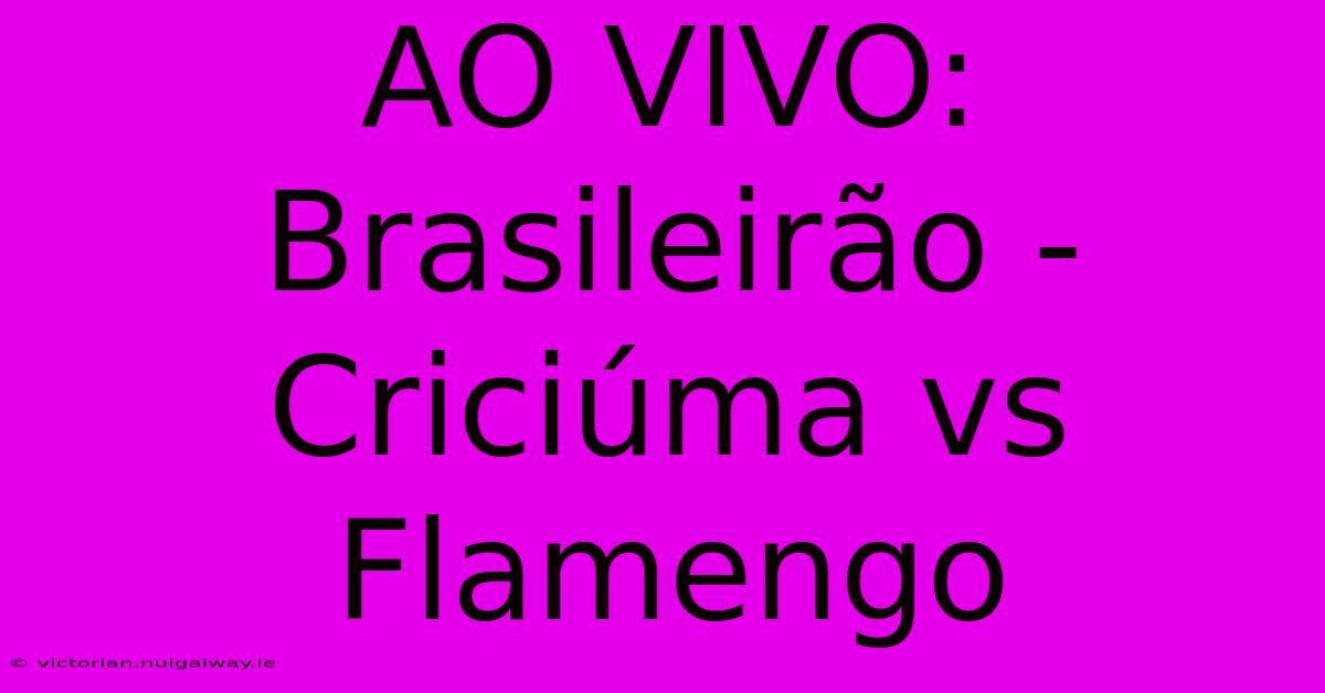 AO VIVO: Brasileirão - Criciúma Vs Flamengo