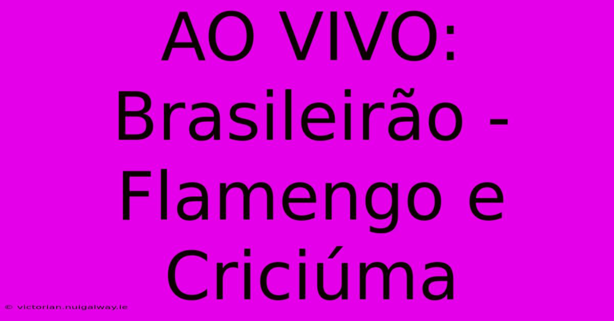 AO VIVO:  Brasileirão -  Flamengo E Criciúma