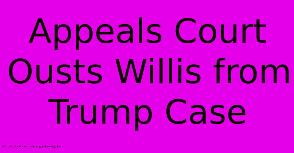 Appeals Court Ousts Willis From Trump Case