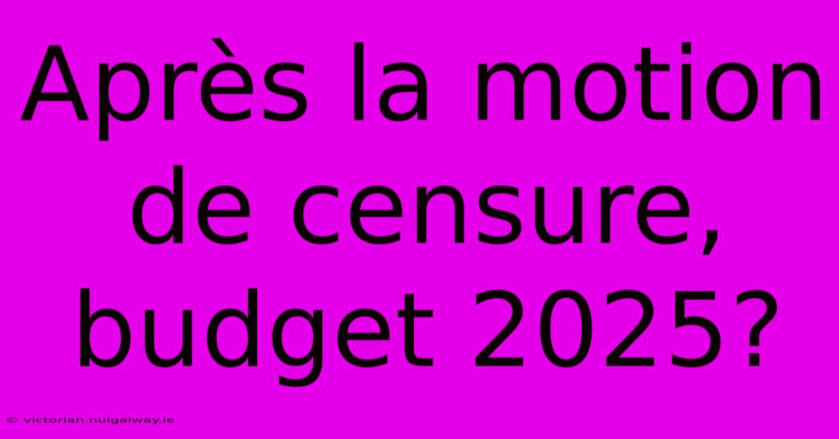 Après La Motion De Censure, Budget 2025?