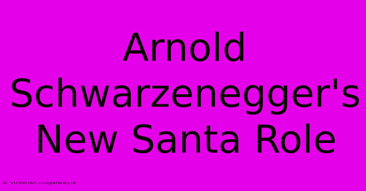 Arnold Schwarzenegger's New Santa Role