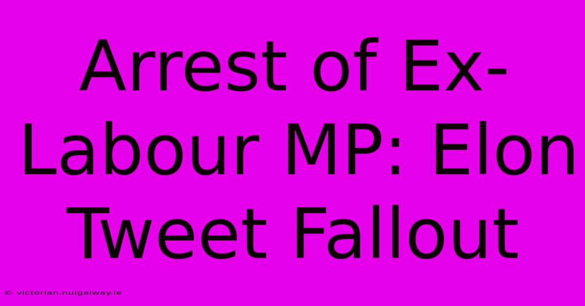 Arrest Of Ex-Labour MP: Elon Tweet Fallout