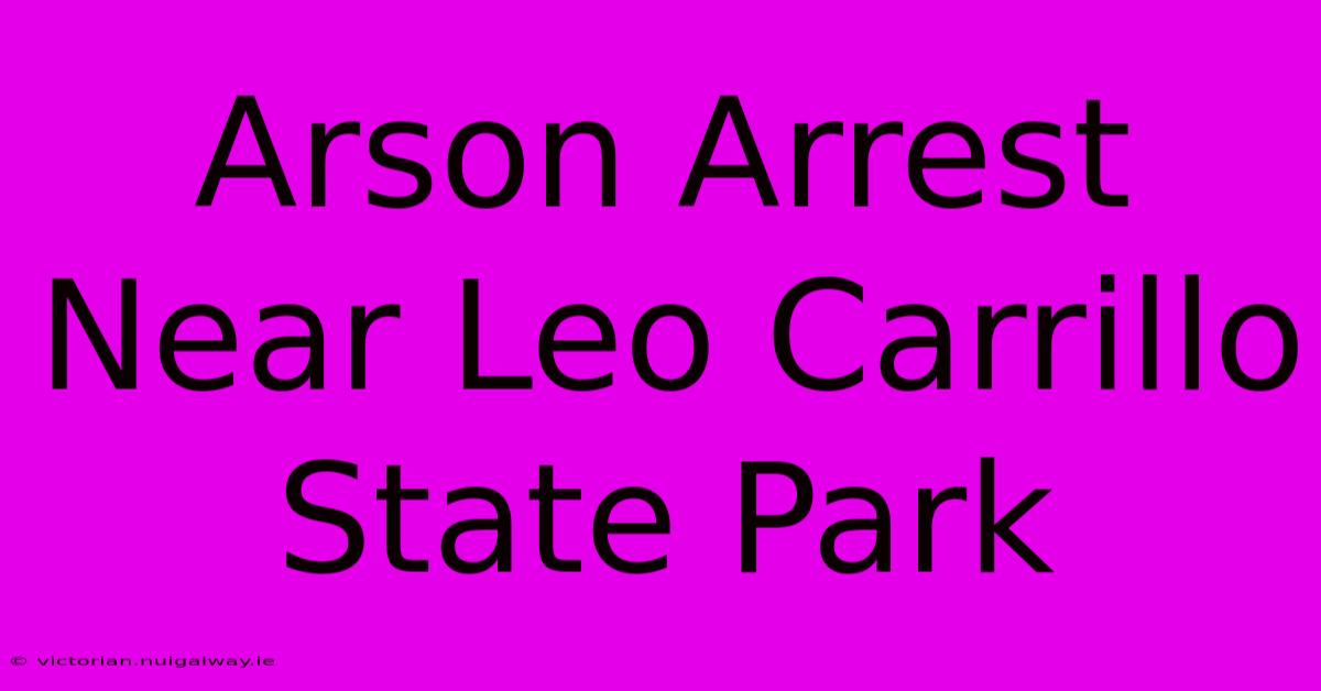 Arson Arrest Near Leo Carrillo State Park