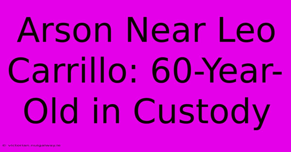 Arson Near Leo Carrillo: 60-Year-Old In Custody