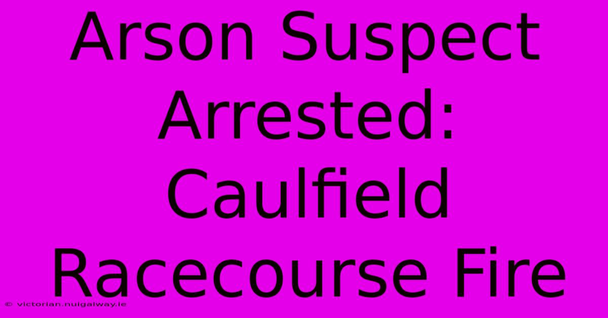 Arson Suspect Arrested: Caulfield Racecourse Fire