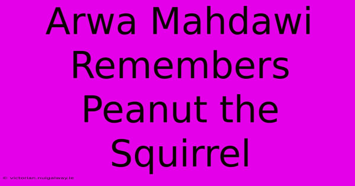 Arwa Mahdawi Remembers Peanut The Squirrel