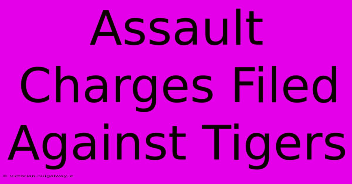 Assault Charges Filed Against Tigers