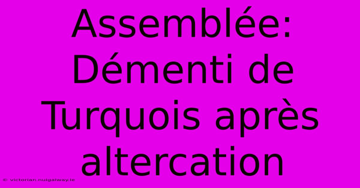 Assemblée:  Démenti De Turquois Après Altercation