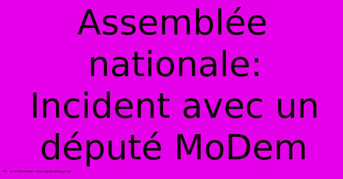 Assemblée Nationale:  Incident Avec Un Député MoDem