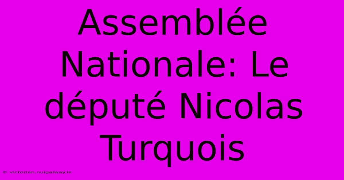 Assemblée Nationale: Le Député Nicolas Turquois