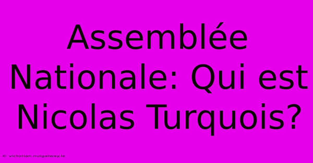 Assemblée Nationale: Qui Est Nicolas Turquois?