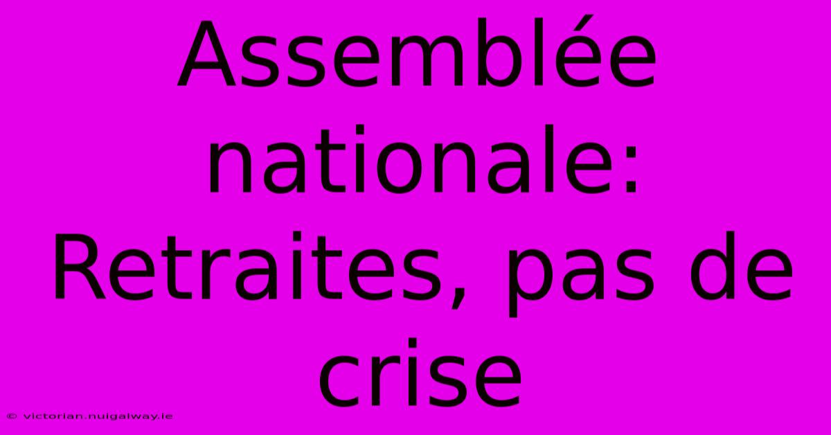 Assemblée Nationale: Retraites, Pas De Crise