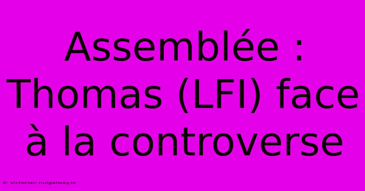 Assemblée : Thomas (LFI) Face À La Controverse