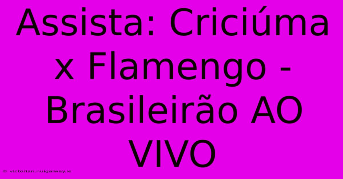 Assista: Criciúma X Flamengo - Brasileirão AO VIVO