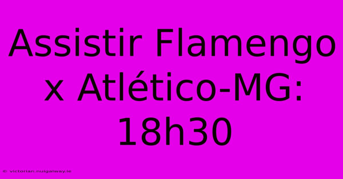 Assistir Flamengo X Atlético-MG: 18h30