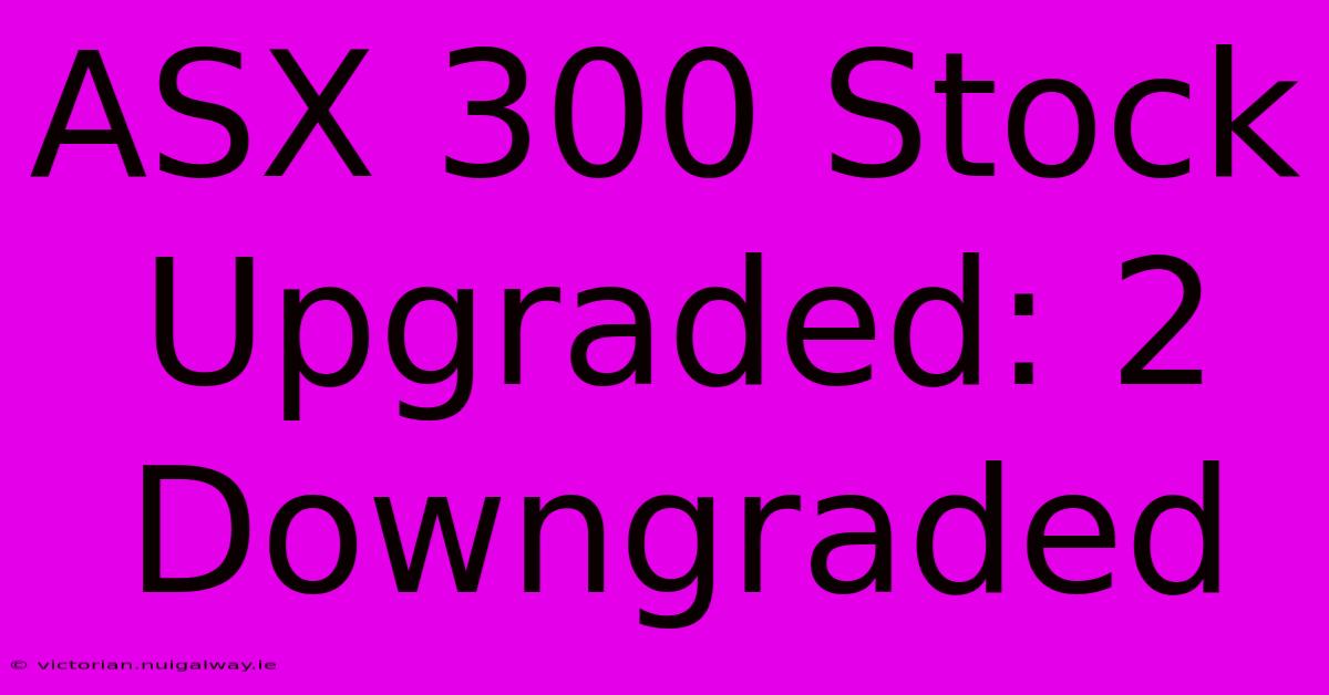 ASX 300 Stock Upgraded: 2 Downgraded