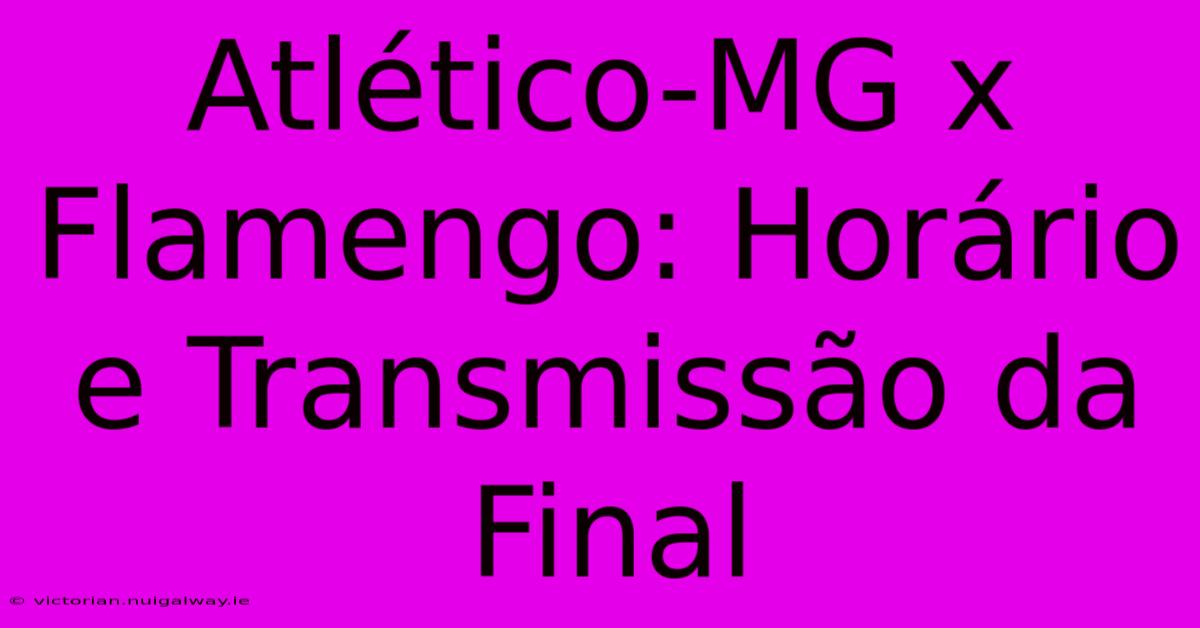 Atlético-MG X Flamengo: Horário E Transmissão Da Final