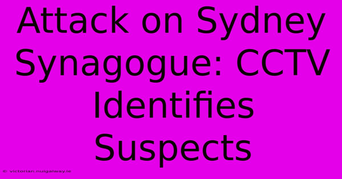 Attack On Sydney Synagogue: CCTV Identifies Suspects