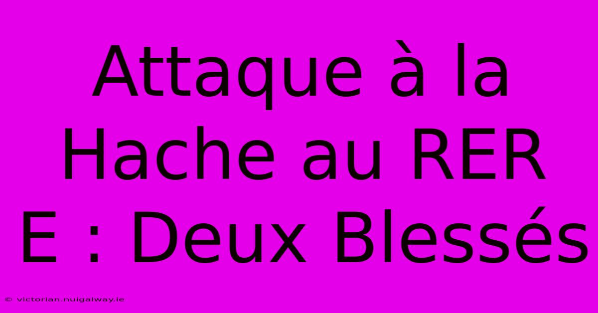 Attaque À La Hache Au RER E : Deux Blessés