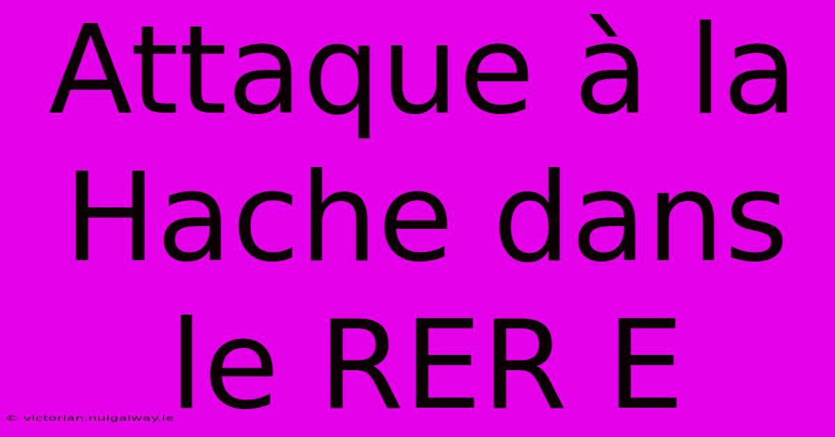 Attaque À La Hache Dans Le RER E