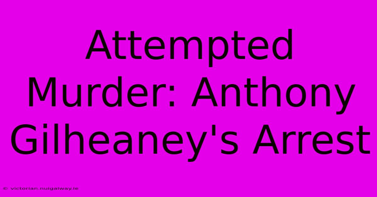 Attempted Murder: Anthony Gilheaney's Arrest