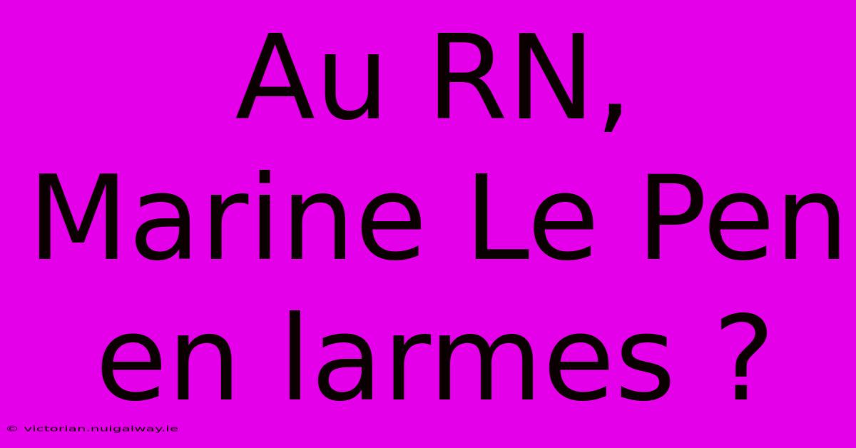 Au RN, Marine Le Pen En Larmes ?