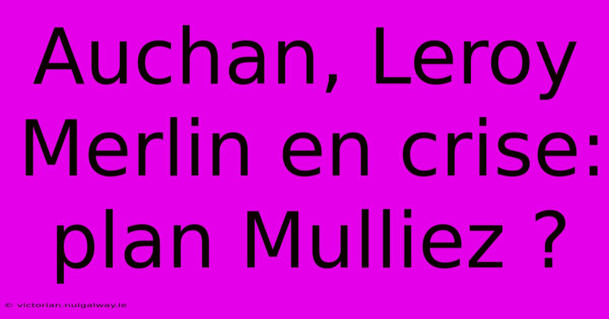 Auchan, Leroy Merlin En Crise: Plan Mulliez ?