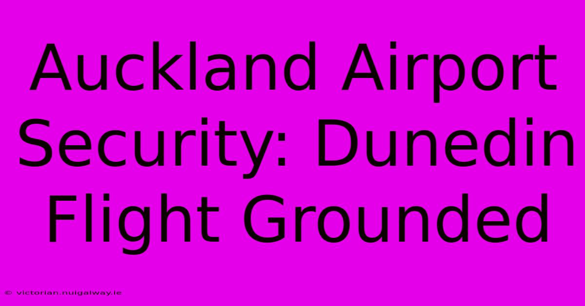 Auckland Airport Security: Dunedin Flight Grounded