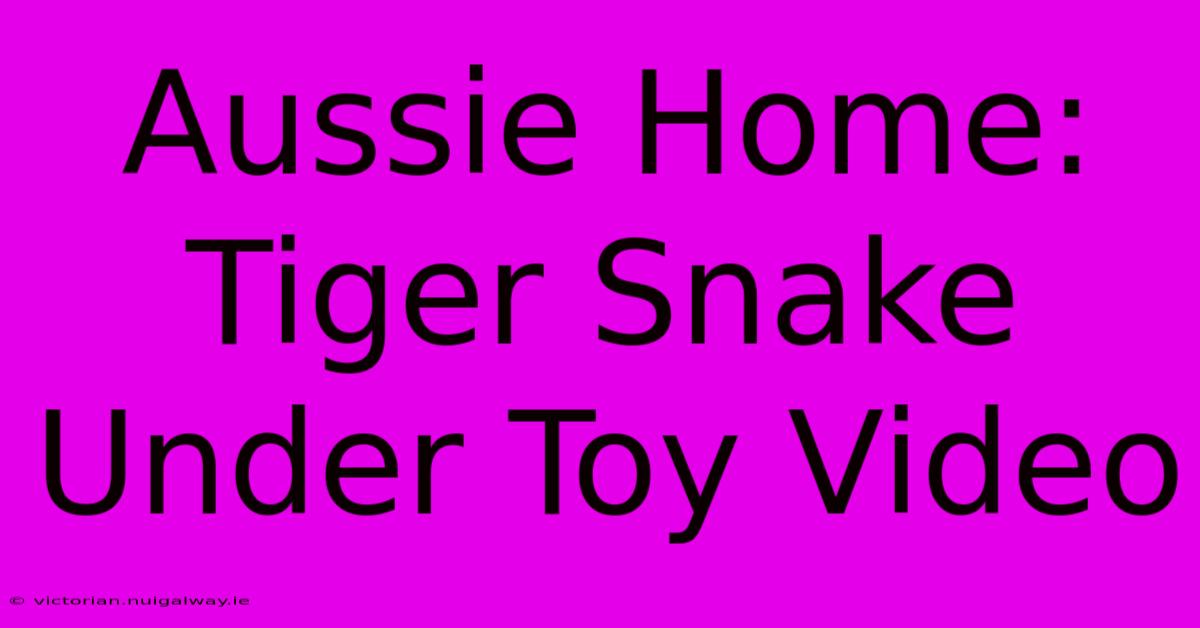 Aussie Home: Tiger Snake Under Toy Video