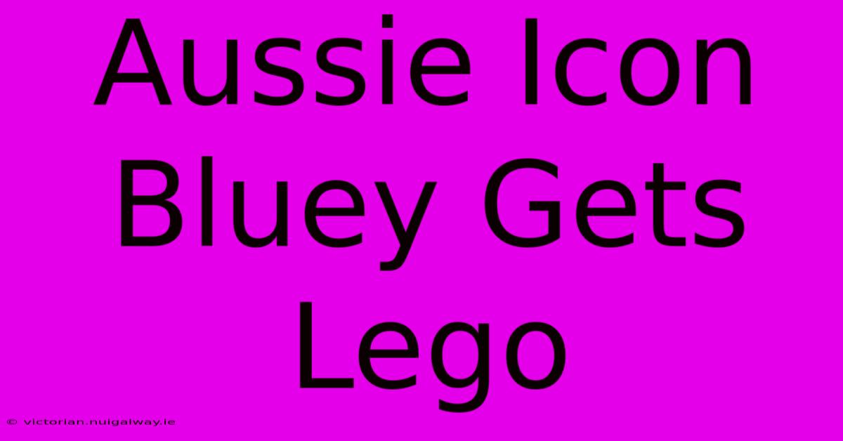 Aussie Icon Bluey Gets Lego